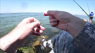 Должанская коса, Азов рыбалка и прогулка вдоль косы