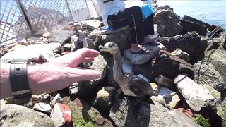 Должанская коса, Азов рыбалка и прогулка вдоль косы