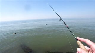 Должанская коса, Азов рыбалка и прогулка вдоль косы