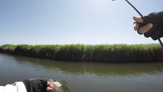 Темрюк, 2020 рыбалка и ловля окуня у берега