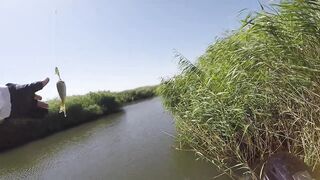 Темрюк, 2020 рыбалка и ловля окуня у берега