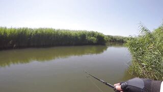 Темрюк, 2020 рыбалка и ловля окуня у берега