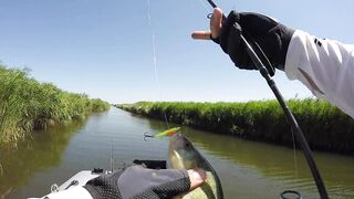 Темрюк, 2020 рыбалка и ловля окуня у берега