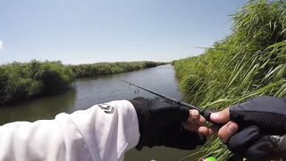 Темрюк, 2020 рыбалка и ловля окуня у берега