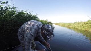 Темрюк, 2020 рыбалка и ловля окуня у берега