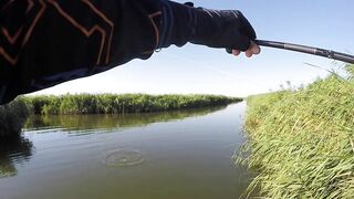 Темрюк, 2020 рыбалка и ловля окуня у берега