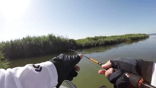 Темрюк, 2020 рыбалка и ловля окуня у берега