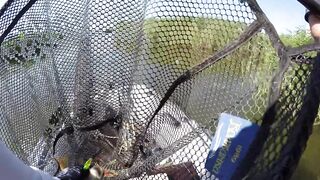 Темрюк, 2020 рыбалка и ловля окуня у берега