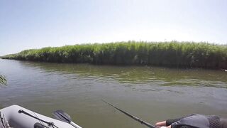 Темрюк, 2020 рыбалка и ловля окуня у берега