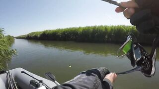 Темрюк, 2020 рыбалка и ловля окуня у берега