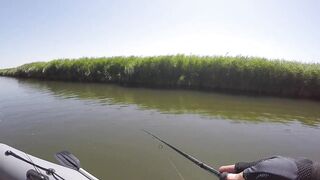 Темрюк, 2020 рыбалка и ловля окуня у берега