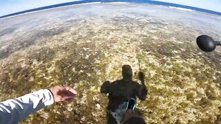 Морская рыбалка с берега в Египте - место шикарное, но рыба не клюёт