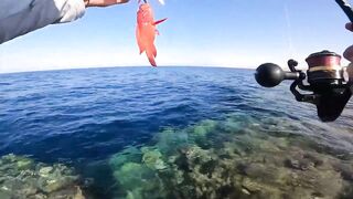 Морская рыбалка с берега в Египте - место шикарное, но рыба не клюёт