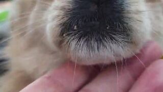 Голубицкая, Азов - дикий кемпинг и рыбалка у кромки