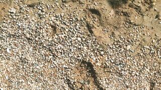 Голубицкая, Азов - дикий кемпинг и рыбалка у кромки