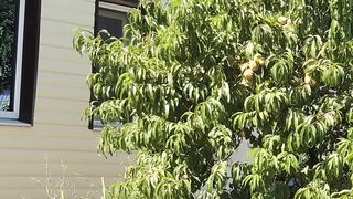 Голубицкая, Азов - дикий кемпинг и рыбалка у кромки