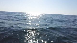 Феодосия: где лучшая рыбалка у берега в августе