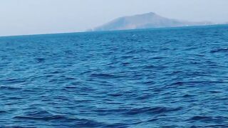 Феодосия: где лучшая рыбалка у берега в августе