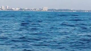 Феодосия: где лучшая рыбалка у берега в августе