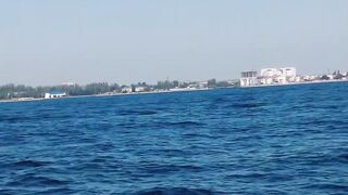 Феодосия: где лучшая рыбалка у берега в августе