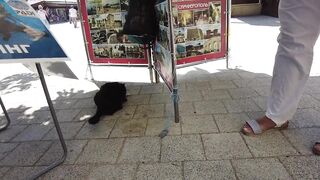 Феодосия: где лучшая рыбалка у берега в августе