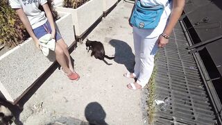 Феодосия: где лучшая рыбалка у берега в августе