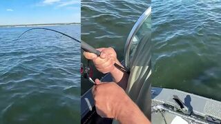 Керчь по трофеям на 2025 как подходить к берегу