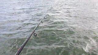 Керчь, Крым ставрида с набережной и прибрежные окна