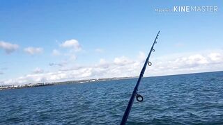 Керчь, Крым ставрида с набережной и прибрежные окна