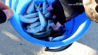 Керчь, Крым ставрида с набережной и прибрежные окна