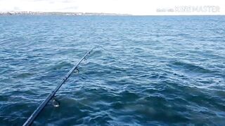 Керчь, Крым ставрида с набережной и прибрежные окна