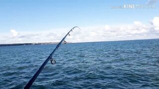 Керчь, Крым ставрида с набережной и прибрежные окна