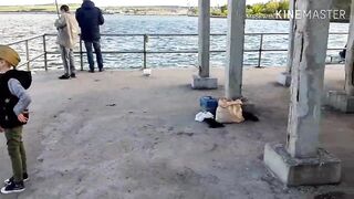 Керчь, Крым ставрида с набережной и прибрежные окна