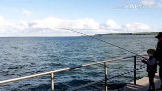 Керчь, Крым ставрида с набережной и прибрежные окна