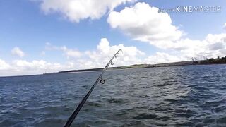 Керчь, Крым ставрида с набережной и прибрежные окна