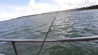 Керчь, Крым ставрида с набережной и прибрежные окна