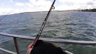 Керчь, Крым ставрида с набережной и прибрежные окна