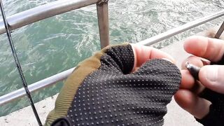 Керчь, Крым ставрида с набережной и прибрежные окна