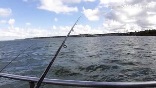 Керчь, Крым ставрида с набережной и прибрежные окна