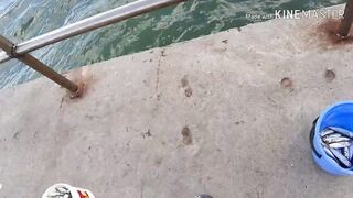 Керчь, Крым ставрида с набережной и прибрежные окна