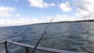 Керчь, Крым ставрида с набережной и прибрежные окна