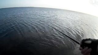 Оленевка - короткая рыбалка у берега 10.10.2018