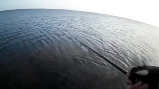 Оленевка - короткая рыбалка у берега 10.10.2018