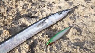 Оленевка - короткая рыбалка у берега 10.10.2018