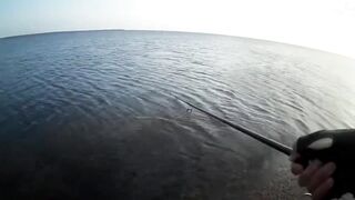 Оленевка - короткая рыбалка у берега 10.10.2018