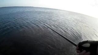 Оленевка - короткая рыбалка у берега 10.10.2018