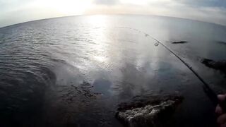 Оленевка - короткая рыбалка у берега 10.10.2018