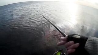 Оленевка - короткая рыбалка у берега 10.10.2018