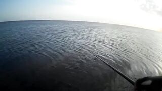 Оленевка - короткая рыбалка у берега 10.10.2018