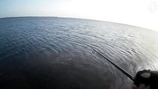 Оленевка - короткая рыбалка у берега 10.10.2018